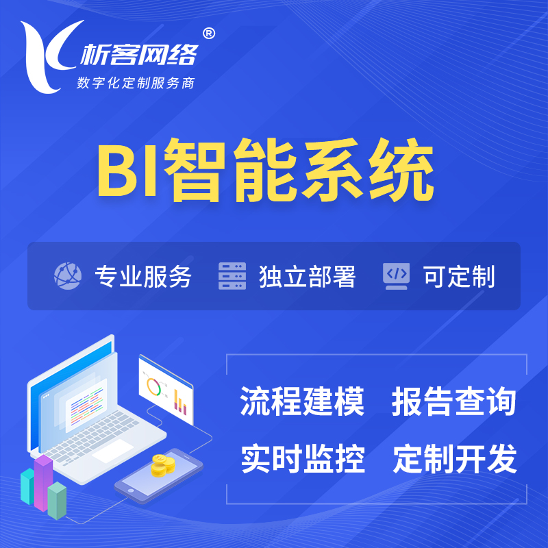 天津BI智能系统 | BI数据可视化