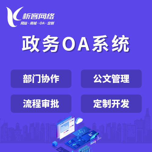 天津政府网站定制的可访问性优化