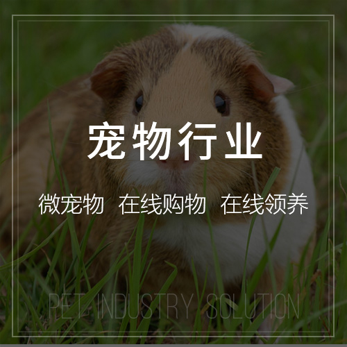 进销存系统如何提升天津批发业效率